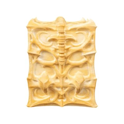 The Ossuary Deck Box – Bone Carving Style Trading Card Storage Case – Fits 100+ Standard & Sleeved Cards – Durable & Decorative Card Holder for Fantasy & Battle Decks – 3D Printed in Canada — 3D Printed Collectible by 3DCentral
