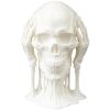 Silent Watchers Skull Set | Gothic Decor — 3D Printed Seasonal by 3DCentral