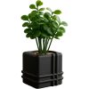 Modern Pipe Square Vase – Minimalist Planter with Rounded Tube Detailing for Indoor Plants & Decor – Fast & Clean Print – 3D Printed in Canada — 3D Printed Collectible by 3DCentral