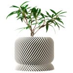 Modern White Planter – Diagonal Groove Texture Pot