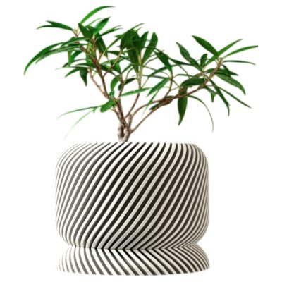Modern White Planter Pot with Diagonal Groove Texture – Slant-Inspired Indoor Plant Container for Succulents & Décor – 3D Printed in Canada — 3D Printed Collectible by 3DCentral