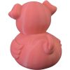 Pig Duck Figurine – Duck-Pig Hybrid – Cute Pink Farm Animal Mash-Up Collectible – Funny Rubber Duck Style Decor for Teens & Adults – 3D Printed in Canada — 3D Printed Collectible by 3DCentral
