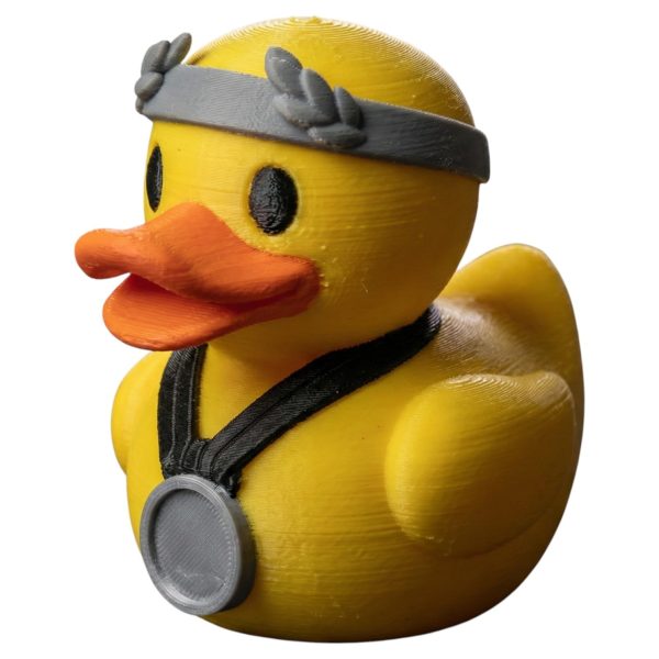 Silver Medal Second Place Duck