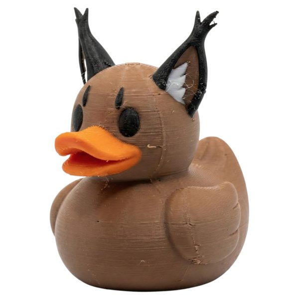 Caracal Duck Wildcat Ears – Funny Mashup