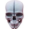 Split Skull Miniature – Anatomical Cranium Prop with Clean Bisection for Display, Dioramas & Gothic Decor – 3D Printed in Canada — 3D Printed Collectible by 3DCentral