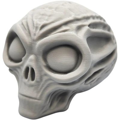 Mummified Alien Skull Miniature – Sci-Fi Horror Display Prop with Anatomical Detail for Dioramas, Halloween & Tabletop Terrain – 3D Printed in Canada — 3D Printed Collectible by 3DCentral