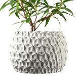 Geometric Hexagon Planter Pot