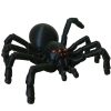 Realistic Articulated Tarantula Spider Figure – Creepy Fake Insect for Pranks, Desk Toys & Halloween Props – 3D Printed in Canada — 3D Printed Collectible by 3DCentral