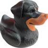 Rottweiler Duck Figurine – Dog-Themed Collectible for Duck Duck 4x4, Cruise Ship Hiding, Off-Road Rubber Duck Gift, Desk Decor for Dog Lovers – 3D Printed in Canada — 3D Printed Collectible by 3DCentral