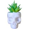 Skull Planter Pot for Succulents & Cacti – Minimalist White Head Planter for Gothic & Alternative Home Decor – 3D Printed in Canada — 3D Printed Collectible by 3DCentral
