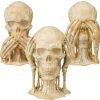 Silent Watchers Skull Statue Set — Gothic “See, Hear, Speak No Evil” Skeleton Figurines — Haunted Décor & Dark Fantasy Collection – 3D Printed in Canada — 3D Printed Collectible by 3DCentral