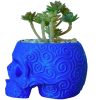 Sugar Skull Planter Pot with Embossed Swirl Texture – Gothic Decor for Succulents, Cacti & Small Plants – 3D Printed in Canada — 3D Printed Collectible by 3DCentral