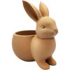 Bunny Succulent Planter – Wood-Style 3D Printed Rabbit-Shaped Mini Pot for Indoor Plants, Herbs, or Desk Décor – 3D Printed in Canada — 3D Printed Collectible by 3DCentral