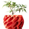 Bold Red Planter Pot with Organic Exo Shell Design – Sculptural Indoor Plant Container for Modern Décor & Succulents – 3D Printed in Canada — 3D Printed Collectible by 3DCentral