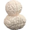 Brain Duck Figurine – Quirky Anatomical Mashup of Brain Texture and Duck Design for Desk or Shelf Display – 3D Printed in Canada — 3D Printed Collectible by 3DCentral