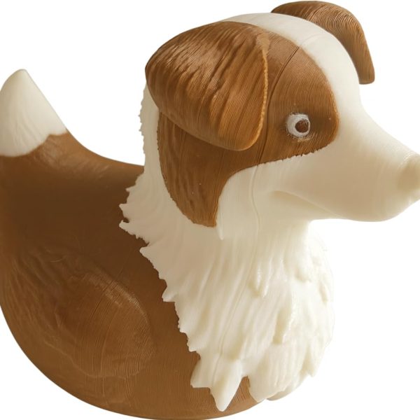 Border Collie Duck – Smart Dog Gift