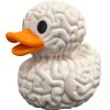 Brain Duck Figurine – Quirky Anatomical Mashup of Brain Texture and Duck Design for Desk or Shelf Display – 3D Printed in Canada — 3D Printed Collectible by 3DCentral