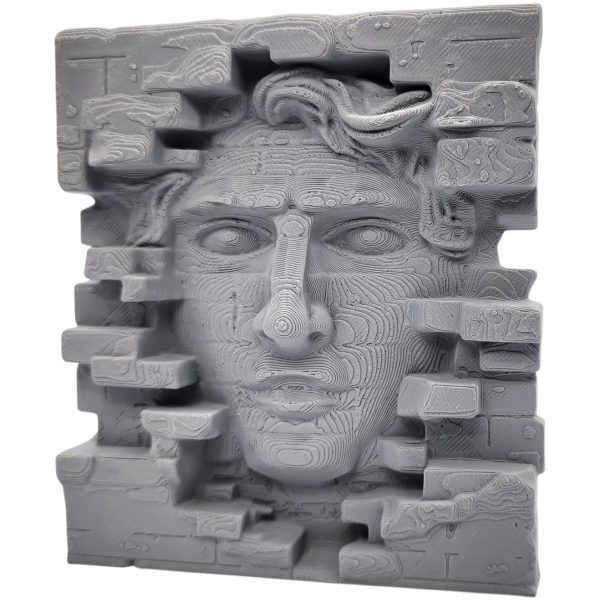 Face in the Brick Wall Sculpture – Surreal Illusion Art — possible Mystery Box item