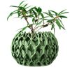 Sculptural Green Planter Pot with Interwoven Exoskeleton Design – Artistic Indoor Container for Succulents & Small Houseplants – 3D Printed in Canada — 3D Printed Collectible by 3DCentral