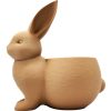 Bunny Succulent Planter – Wood-Style 3D Printed Rabbit-Shaped Mini Pot for Indoor Plants, Herbs, or Desk Décor – 3D Printed in Canada — 3D Printed Collectible by 3DCentral