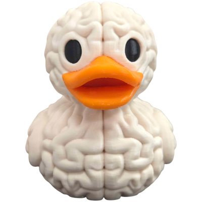 Brain Duck Figurine – Quirky Anatomical Mashup of Brain Texture and Duck Design for Desk or Shelf Display – 3D Printed in Canada — 3D Printed Collectible by 3DCentral