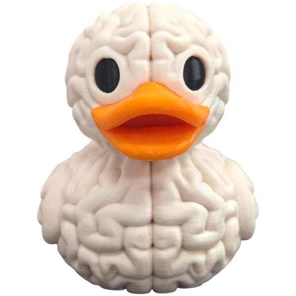 Canard cerveau – figurine de collection scientifique anatomique