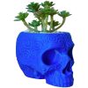 Sugar Skull Planter Pot with Embossed Swirl Texture – Gothic Decor for Succulents, Cacti & Small Plants – 3D Printed in Canada — 3D Printed Collectible by 3DCentral