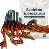 Articulated Spinosaurus Skeleton Rainbow — 3D Printed Articulated Figurines by 3DCentral