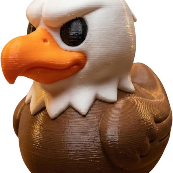 Canard aigle – Collection oiseau majestueux