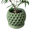 Sculpted Planter Pot with Starburst Texture – Modern Indoor Plant Container with Matching Saucer – 3D Printed in Canada — 3D Printed Collectible by 3DCentral