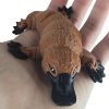 Articulated Platypus Figurine – Desk Collectible for Teens & Adults – Decorative Display & Collectible – 3D Printed in Canada — 3D Printed Collectible by 3DCentral