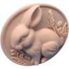 Round Bunny Wall Sculpture – 3D Printed Rabbit Relief for Cottagecore & Spring Décor – 3D Printed in Canada — 3D Printed Collectible by 3DCentral
