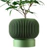 Modern Green Planter Pot with Vertical Ribbed Texture & Matching Base – Sculptural Indoor Container for Succulents & Houseplants – 3D Printed in Canada — 3D Printed Collectible by 3DCentral