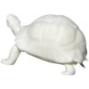 Realistic Turtle Figurine – Detailed 3D Printed Tortoise Model for Shelf Display, Desk Décor, or Collector’s Showcase – 3D Printed in Canada — 3D Printed Collectible by 3DCentral
