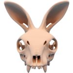Rabbit Skull with Forward Ears | 3DCentral