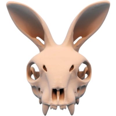 Rabbit Skull with Forward Ears – Creepy Bunny Skeleton Prop for Gothic Decor or Halloween Display – 3D Printed in Canada — 3D Printed Collectible by 3DCentral