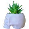 Skull Planter Pot for Succulents & Cacti – Minimalist White Head Planter for Gothic & Alternative Home Decor – 3D Printed in Canada — 3D Printed Collectible by 3DCentral
