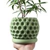 Sculpted Planter Pot with Starburst Texture – Modern Indoor Plant Container with Matching Saucer – 3D Printed in Canada — 3D Printed Collectible by 3DCentral