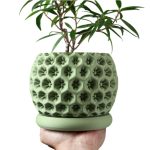 Sculpted Planter Pot with Starburst Texture