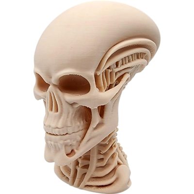 Skeletal Alien Bust – 3D Printed Xeno Skull Sculpture with Elongated Cranium and Exposed Structures for Sci-Fi, Horror, or Oddities Decor – 3D Printed in Canada — 3D Printed Collectible by 3DCentral