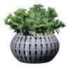 Modern Geometric Xander Planter – Decorative 3D Printed Vase for Succulents, Faux Plants & Home Accents – Unique Slotted Bowl-Style Indoor Planter – 3D Printed in Canada — 3D Printed Collectible by 3DCentral