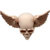 Winged Skull Figurine – Gothic Skull with Feathered Wings for Fantasy Desk or Shelf Display – 3D Printed in Canada — 3D Printed Collectible by 3DCentral