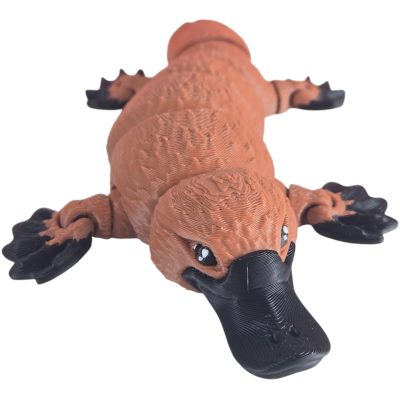 Articulated Platypus Figurine – Desk Fidget for Teens & Adults – Stress Relief & Collectible – 3D Printed in Canada — 3D Printed Collectible by 3DCentral