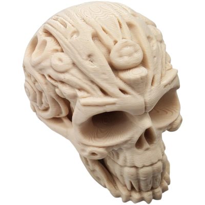 Carved Stone Skull – Ornamental Skull Sculpture with Tribal-Inspired Details for Gothic, Fantasy, or Occult Decor – 3D Printed in Canada — 3D Printed Collectible by 3DCentral
