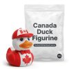 Lot de canards pop culture Canada Rock