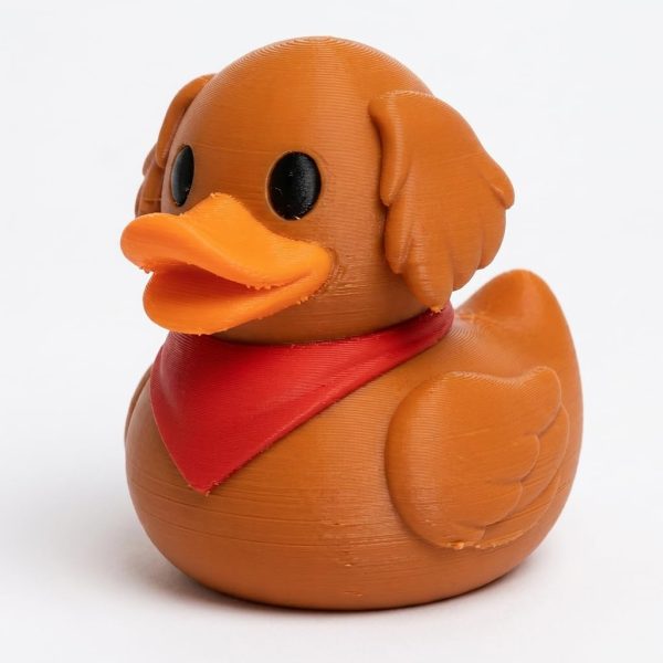 Canard golden retriever roux
