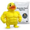 Ensemble de figurines Canard musclé