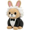 Ensemble de figurines de collection Einstein