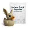 Ensemble de figurines de canards originales
