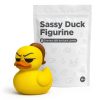 Variety Duck Figurine Bundle